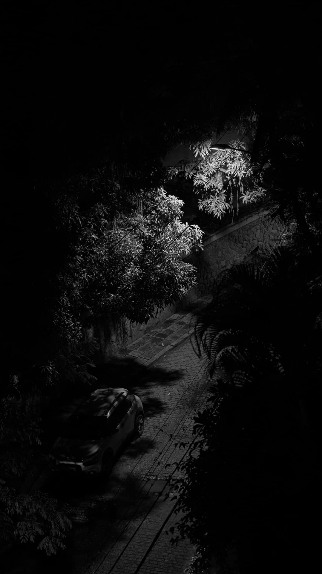 Black-and-white night view down a cobbled hill with a parked car under streetlights