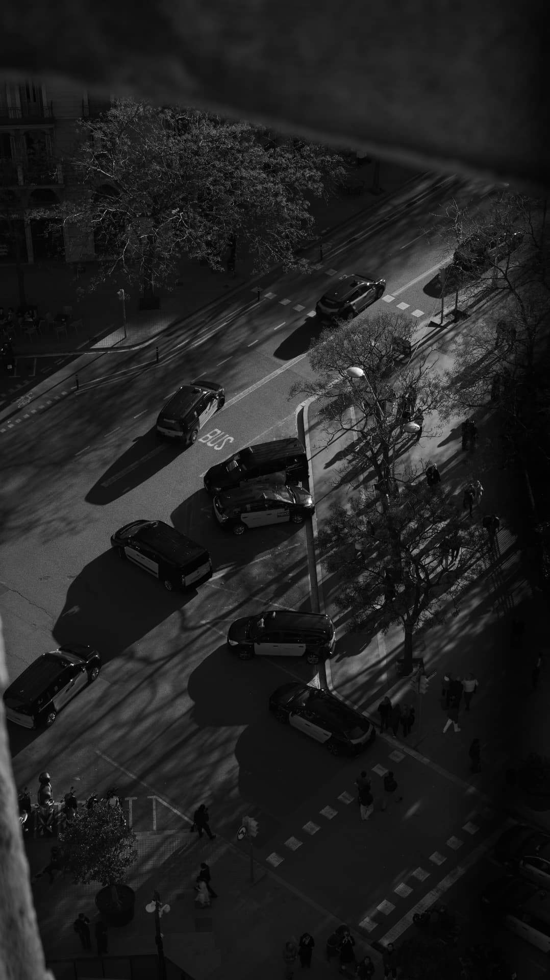 Black and white overhead view of cars and long shadows on a Barcelona avenue