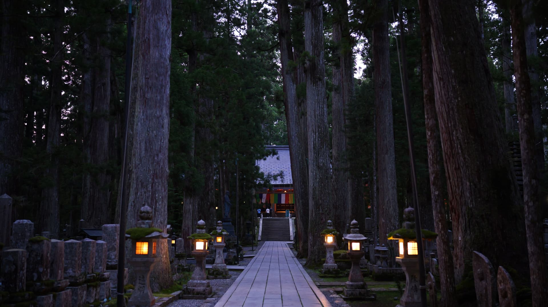 Lantern-lined cedar avenue leading toward a temple in Koyasan at dusk