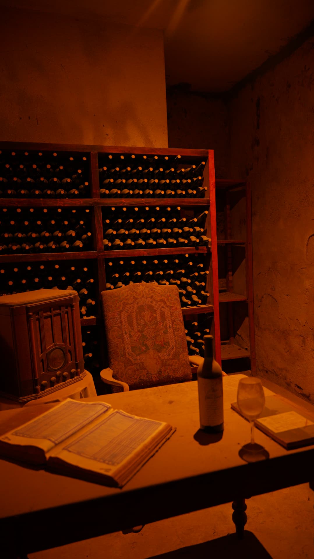 Wine bottles, an old radio and an open ledger in an amber-lit cellar