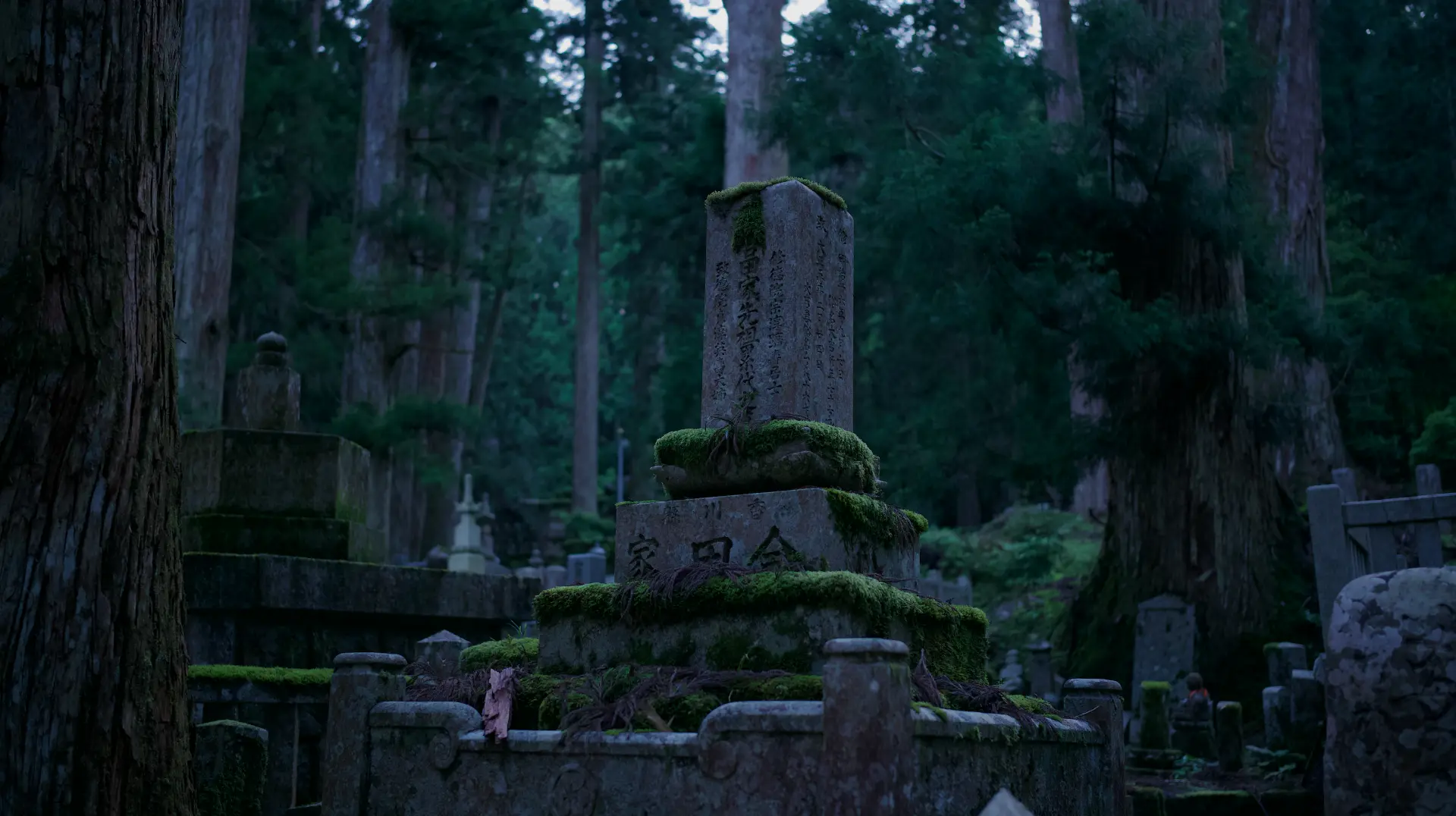 Moss-covered stone grave among tall cedar trees in Koyasan
