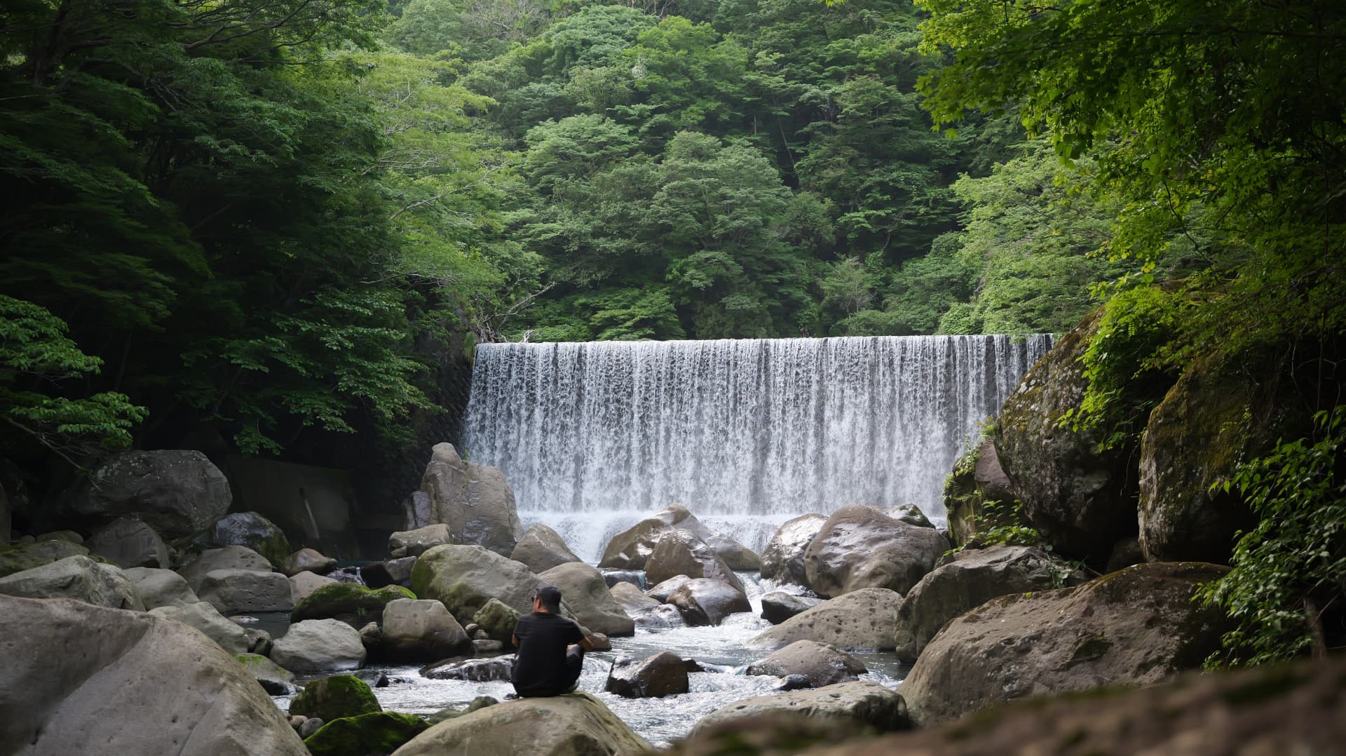 Man sitting on a rock watching a wide waterfall in a green Hakone forest