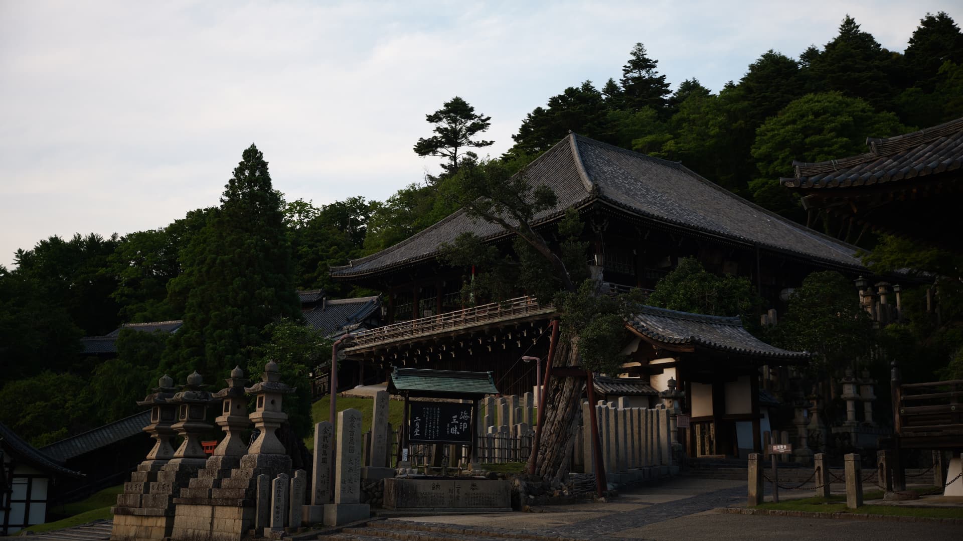 Wooden temple buildings nestled among dense forest in Koyasan