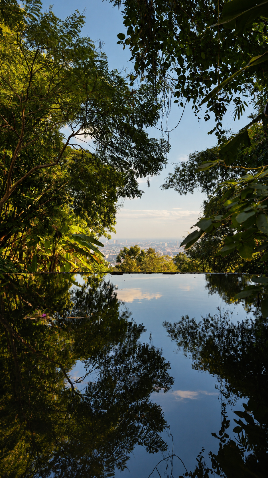 Tropical canopy and Bangkok skyline reflected in a still hillside pool in Thailand