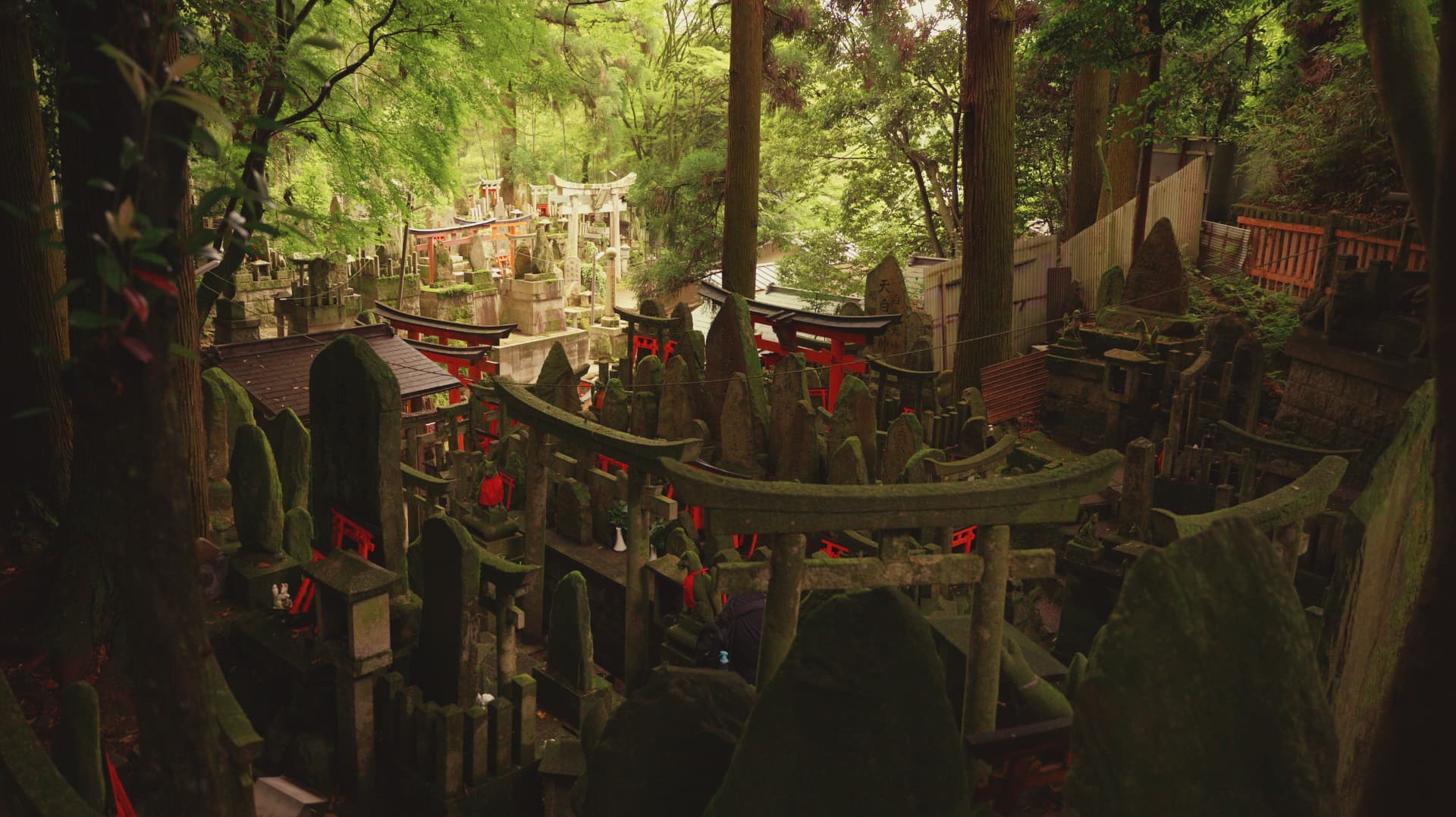 Moss-covered stone monuments and red torii gates beneath a green forest canopy