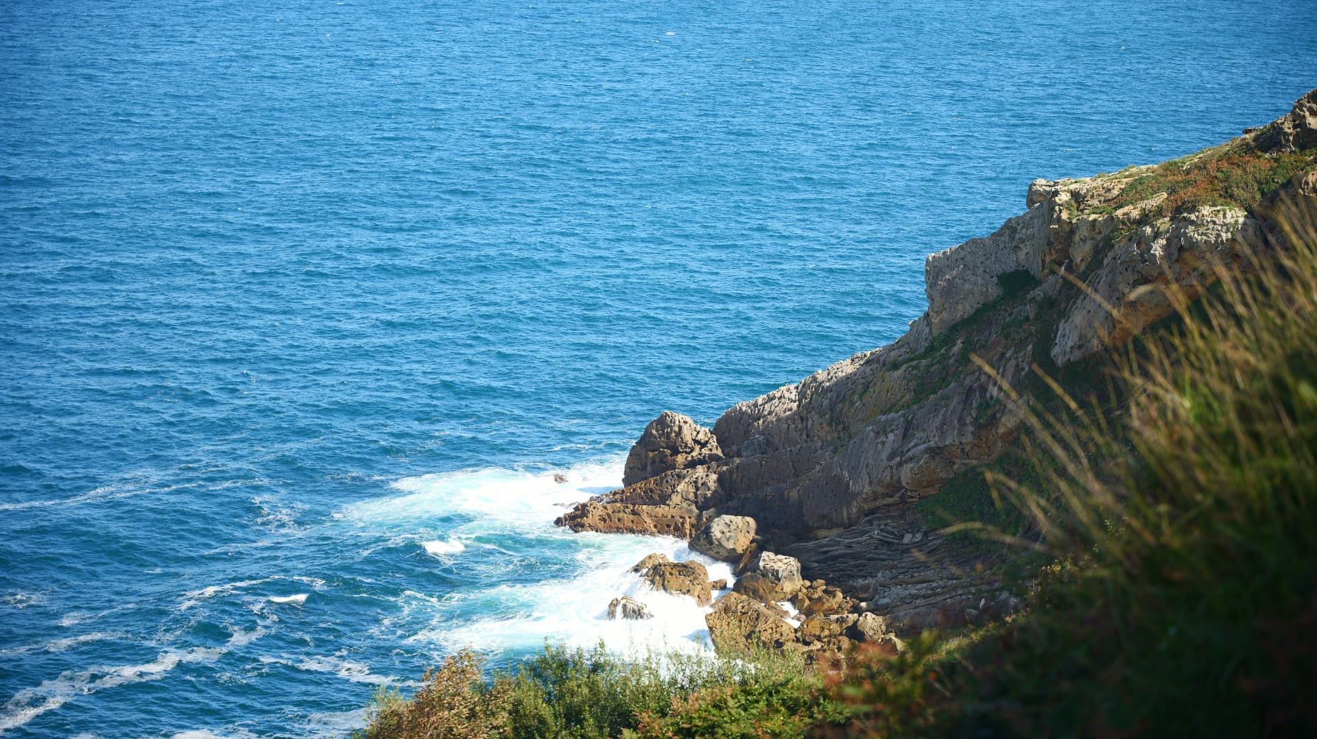 Waves breaking on rocks below a grassy cliff edge