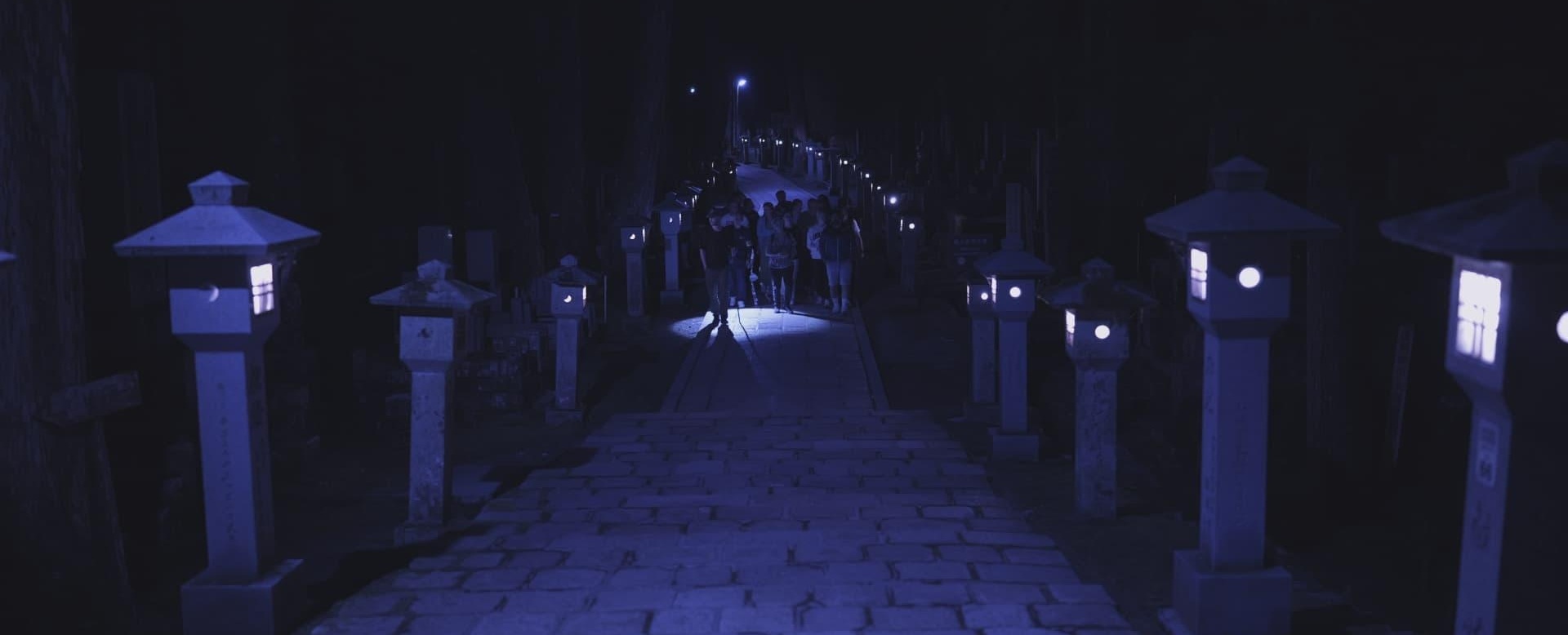 Stone lanterns lighting a path through the Koyasan cemetery at night