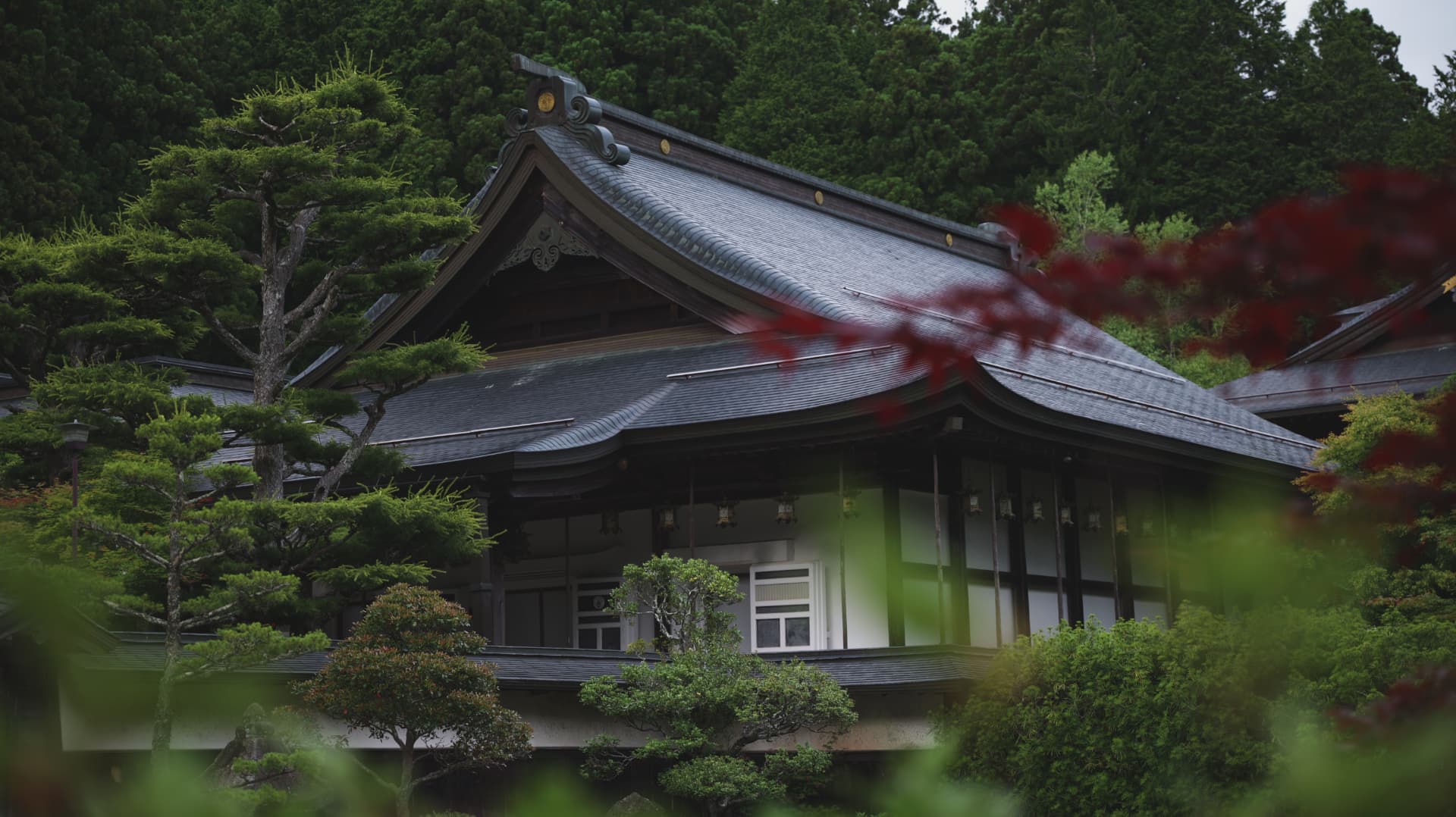 Traditional Koyasan temple roof framed by sculpted trees and red maple leaves